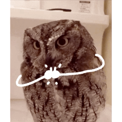 bed3f80128e637fde18b2da612722203.gif bed3f80128e637fde18b2da612722203.gif