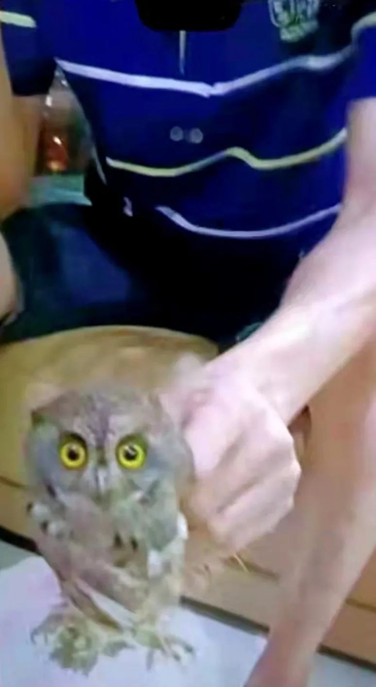 d7e6cc06fdb620bc8794960f6d83e2da.jpg d7e6cc06fdb620bc8794960f6d83e2da.jpg