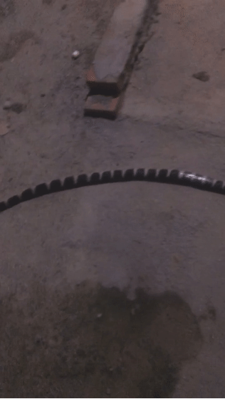 91db14e4322860dbb9434e5d14f203ea.gif