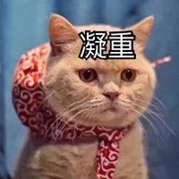 c49c52f479abdb14d360858e8cbfe5bf.jpg