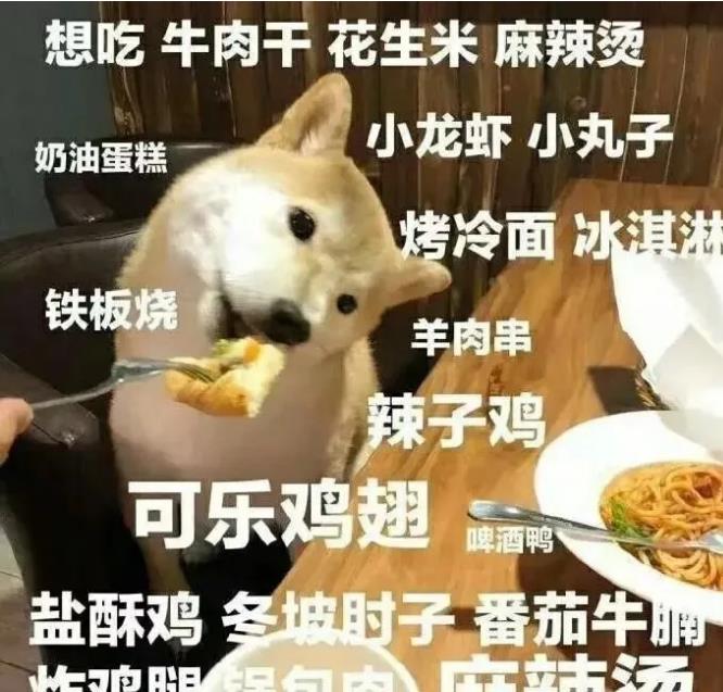 360截图20220119154745312.jpg