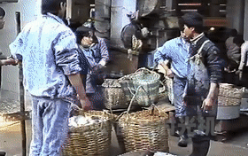 68e58487732a14da2bc01a6c704870ff.gif