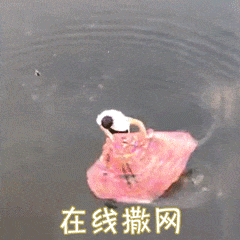 7676321b27353365e6a350a6af14925f.gif