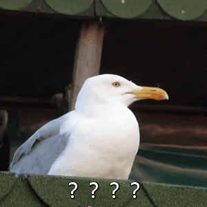 c78019c091a0ec2e5187d2b61b96c57f.gif