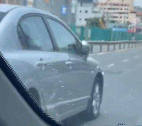 003.gif