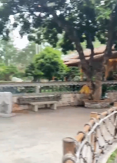 GIF 2022-4-26 11-36-05.gif
