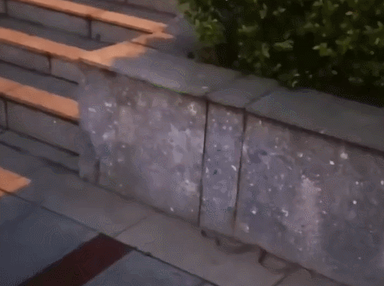 GIF 2022-4-28 8-30-17.gif
