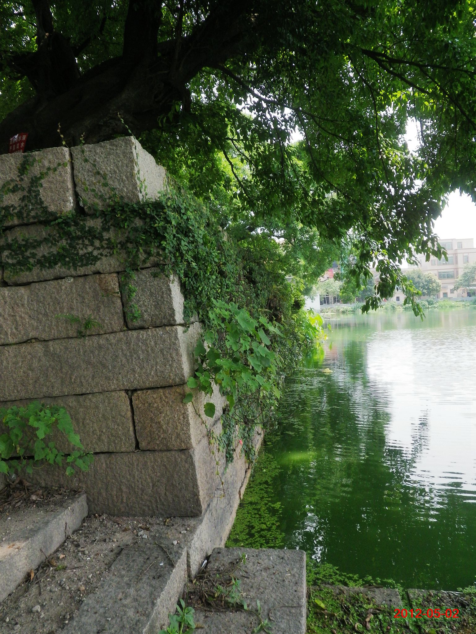 2012-05-02 13-24-49_0289_.jpg