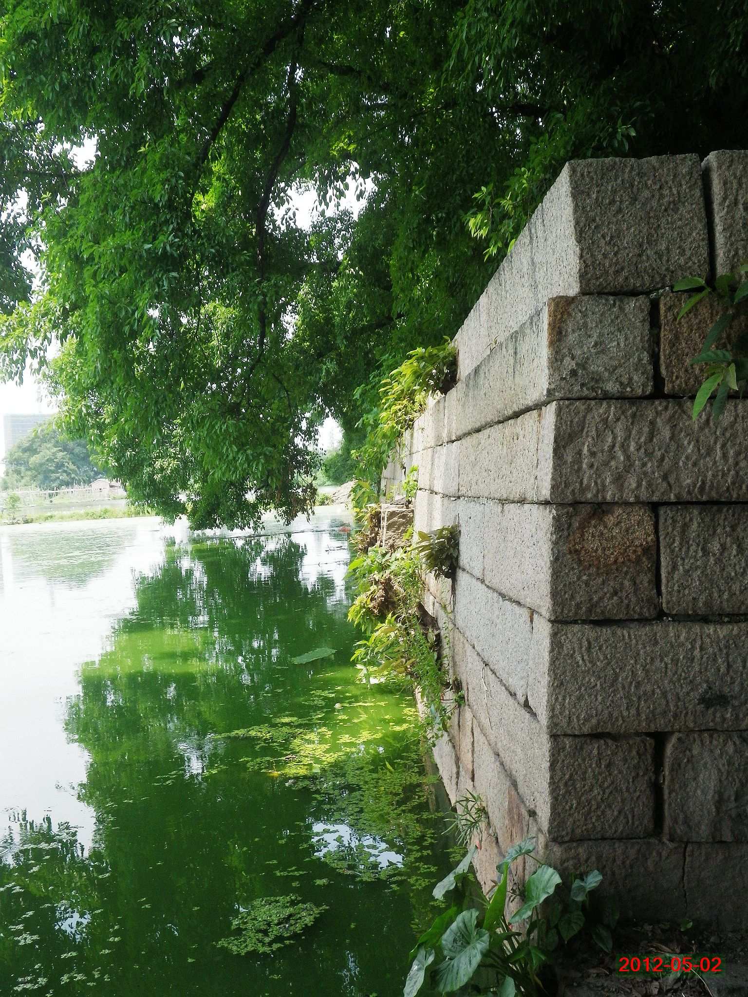 2012-05-02 13-26-22_0291_.jpg