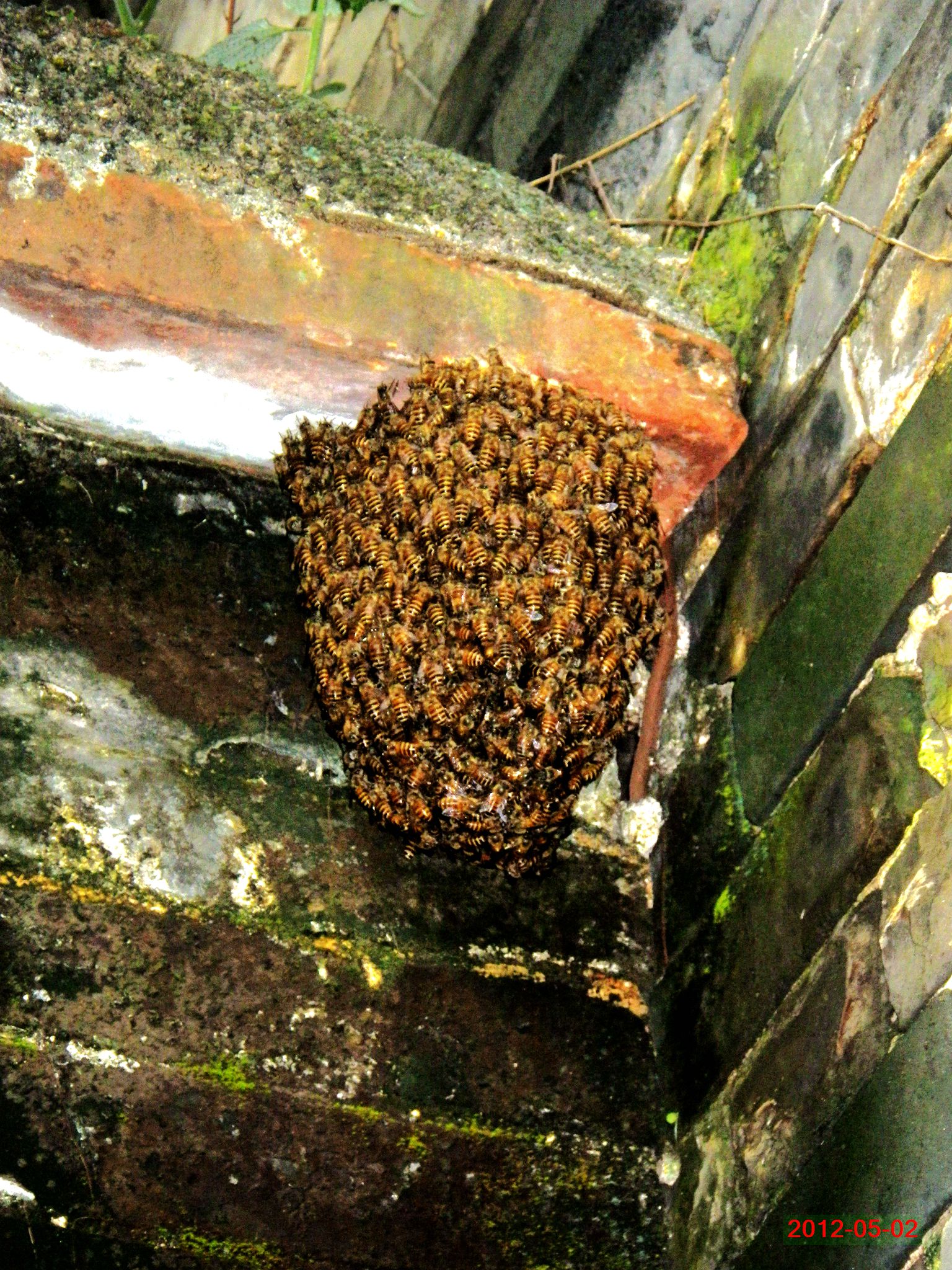 2012-05-02 14-02-03_0348_.jpg