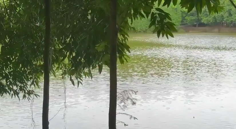 微信截图_20220503085857.png