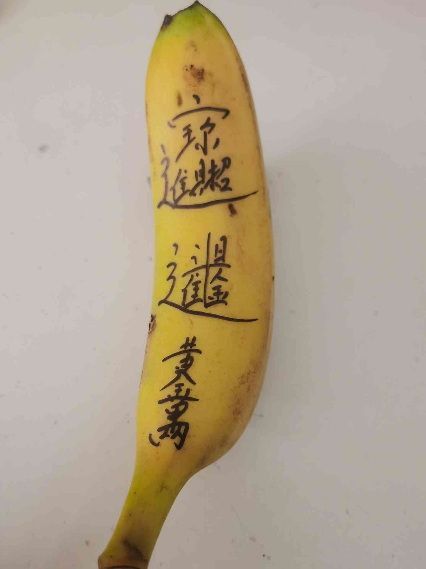 20220507105031front2_0_179748_FtRyd08YwtW9TmrlemOrfPti2FN_.jpg