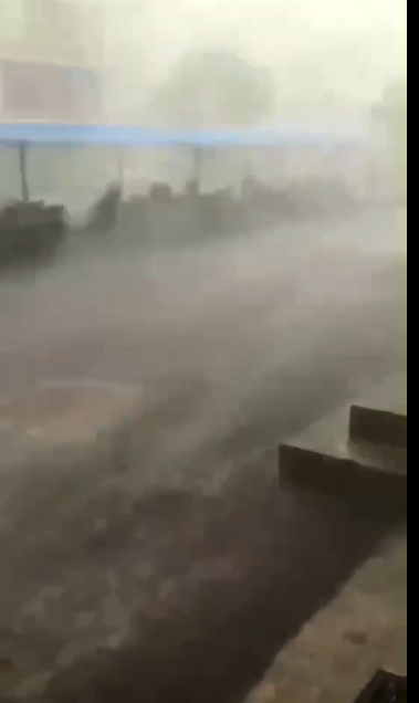 ������Զ