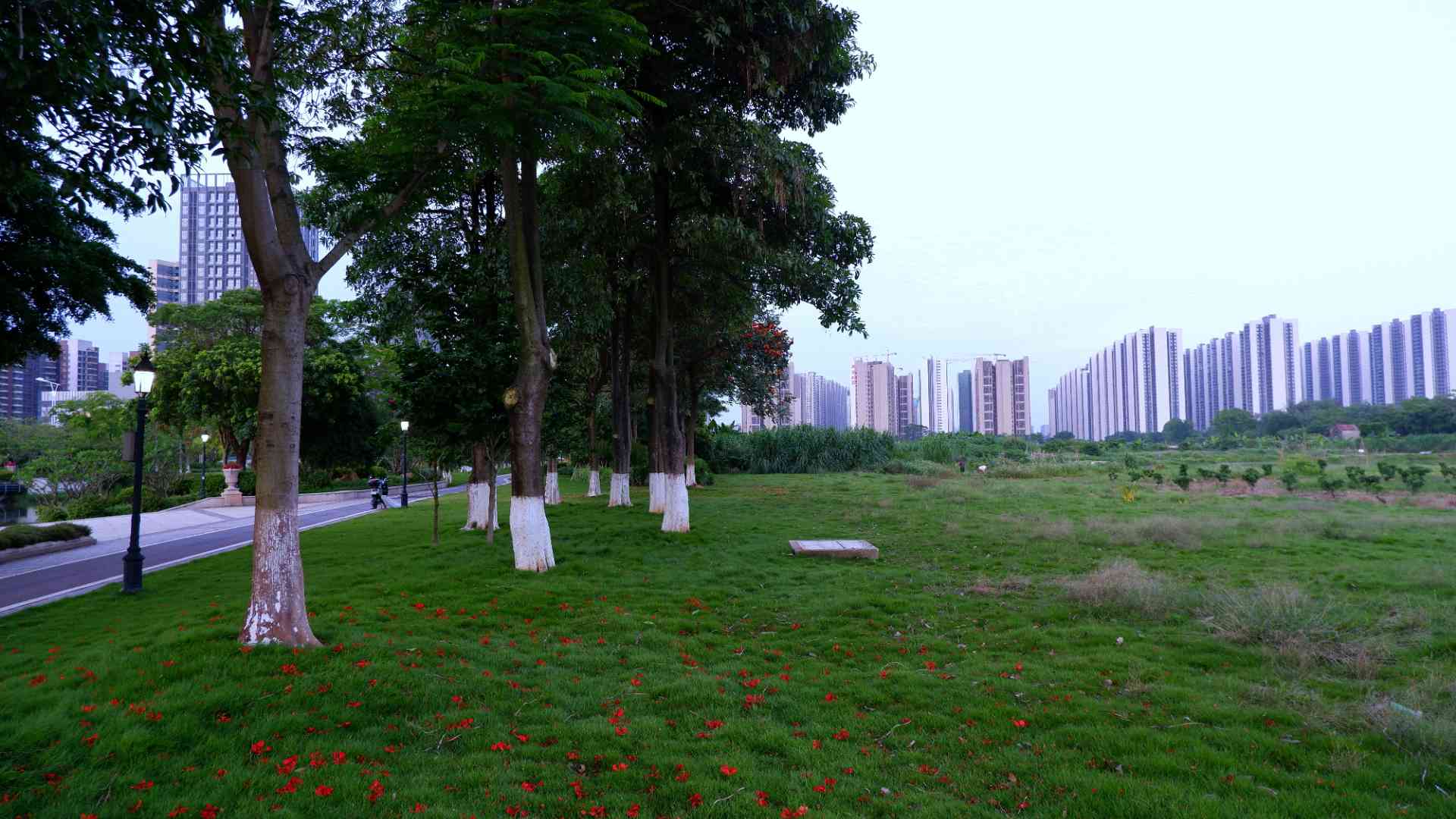 20220517210747front2_0_203387_FjiZ9g5v85uOpEd9EWo2hOAtvaiH.jpg