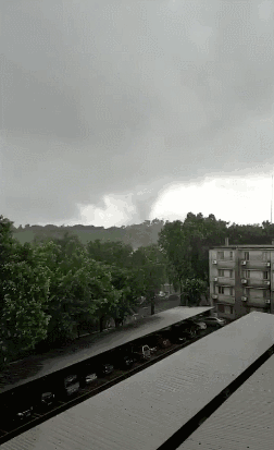 20220617140035front1_0_227691_Ftuxt4pzKqlQYRZs6CMxOWjWOxJR.gif