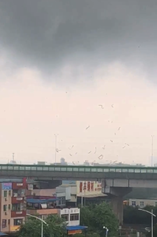 微信截图_20220704160603.png