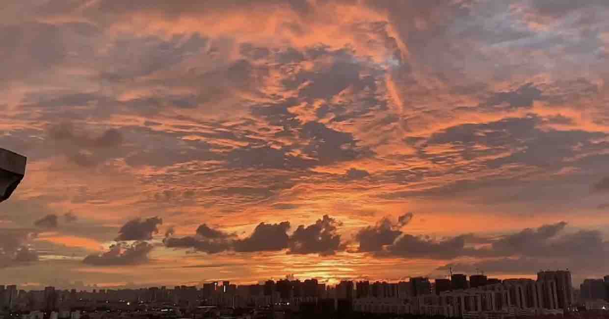 20220711224812front1_0_224104_FhHJeDxv1jA2FUXJi7eXIVKGi_J9.jpg