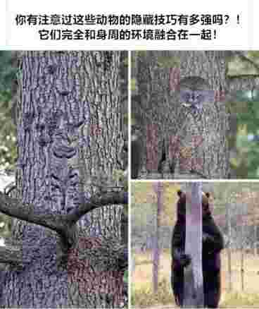 20220719195426front2_0_229357_FuyHO1VAwY6zQOUqvRoruVfqPZzN.jpg