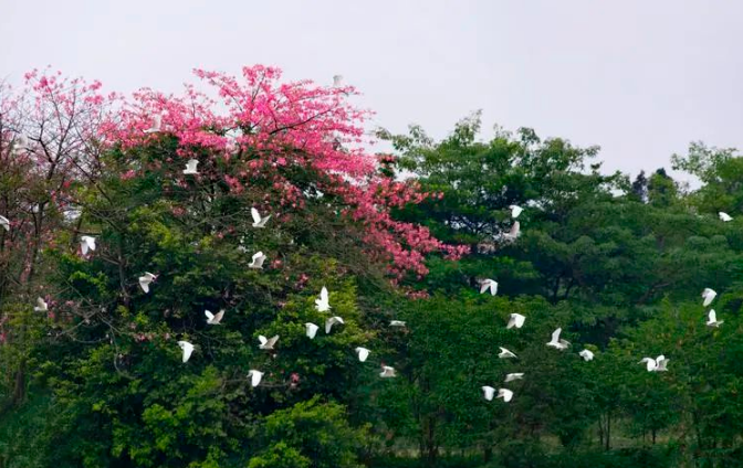 微信截图_20220720091727.png