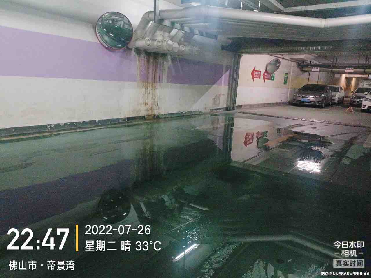 20220801023309front1_0_230013_FiPM8DY-Fh-ml5bgCRw4pSgH_X5t.jpg