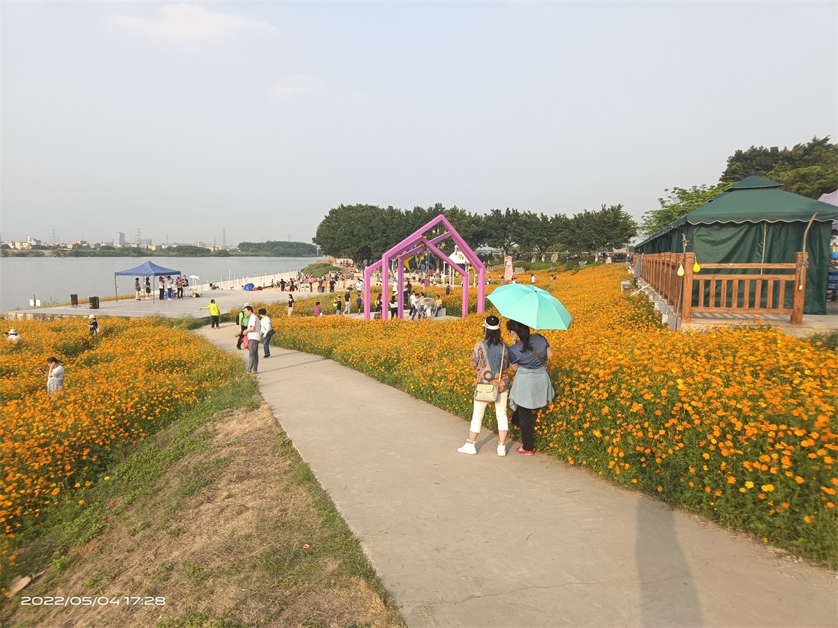 IMG_20220504_172800.jpg