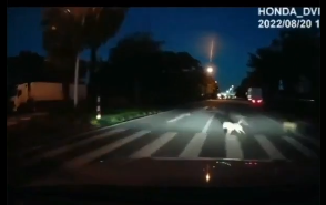微信截图_20220822090537.png