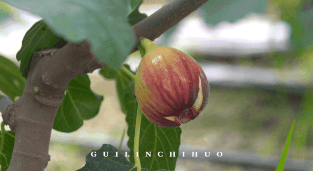 04567e3a44eb2ed8123e7ee537a04963.gif
