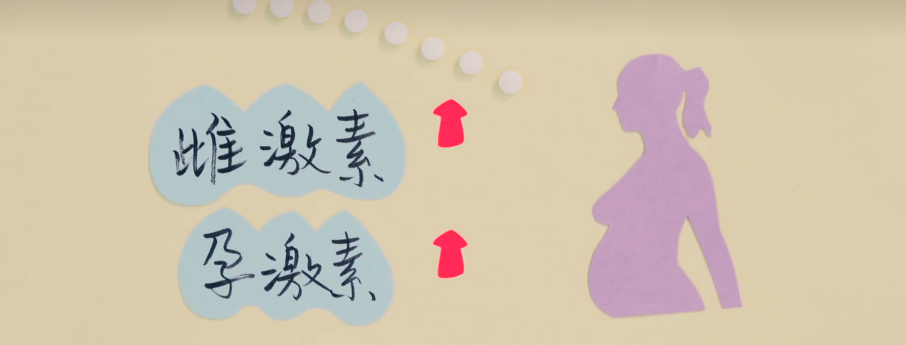 下载 (1).png