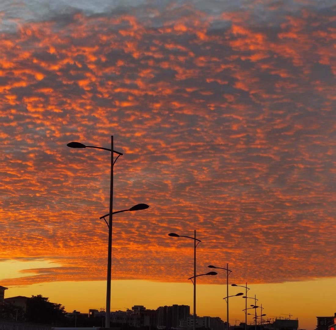 20221011190438front1_0_191305_Fi9TLzXYYX_iZoVnc0D0A-7eMd4d.jpg