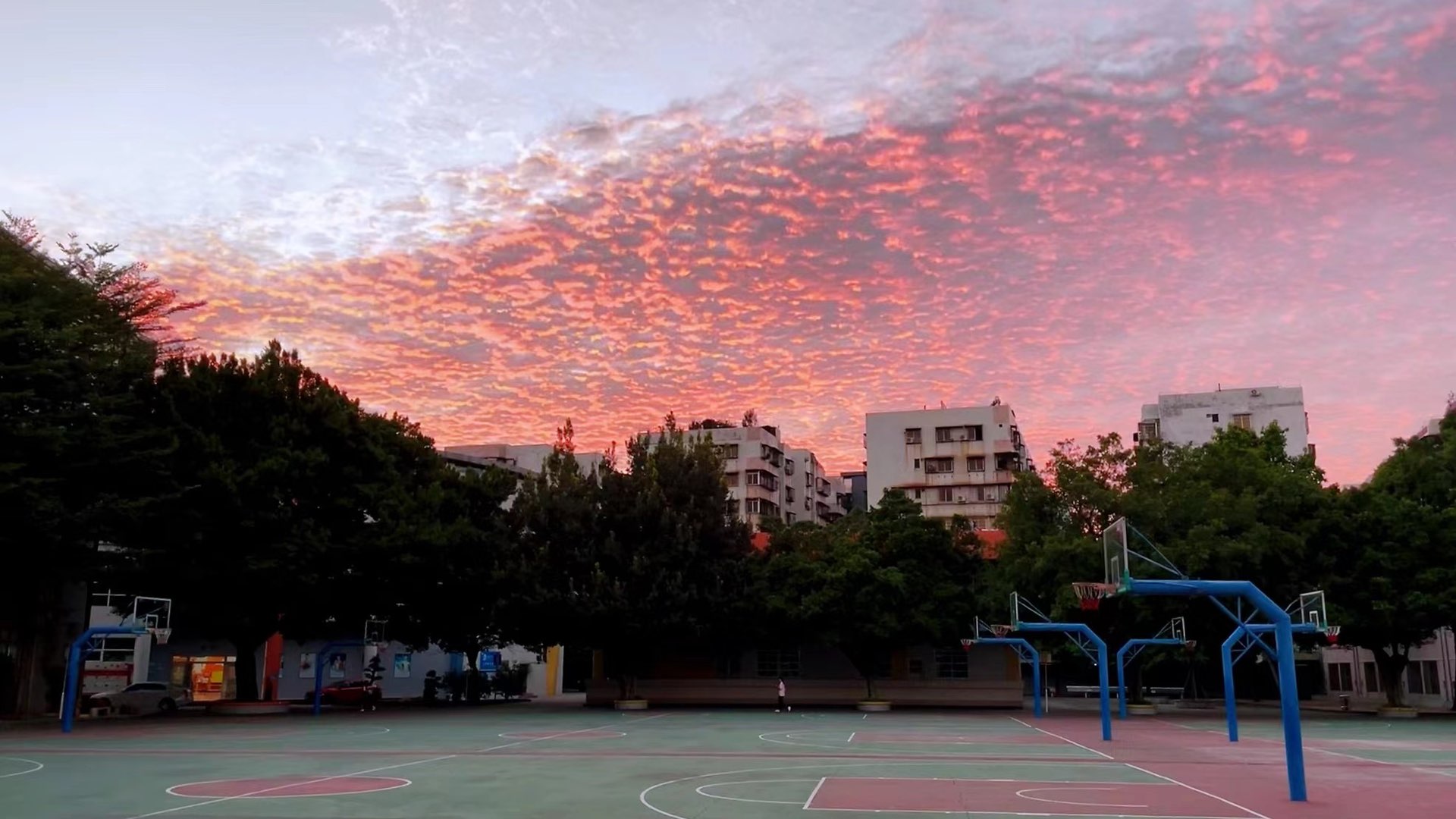 20221011190439front1_0_191305_FjTGo1zY_vkKoH227qdqWlrEiwHJ.jpg