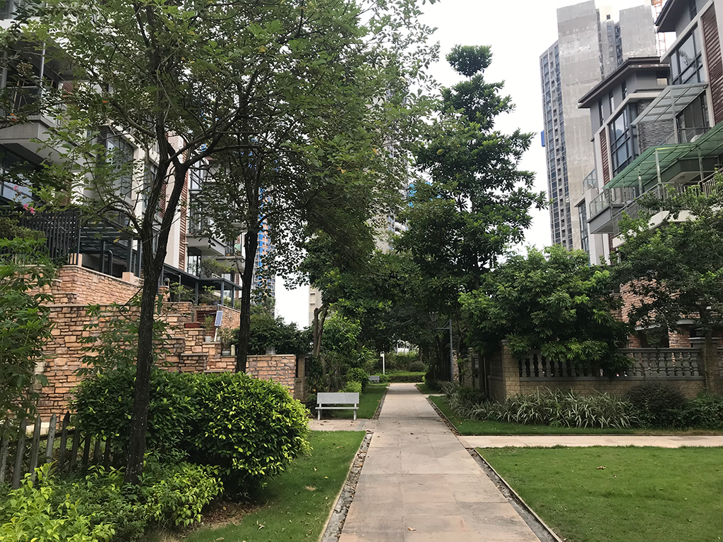 2.png
