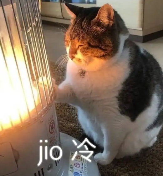 80ffbea76a2c7b03835542b1449faccb.png