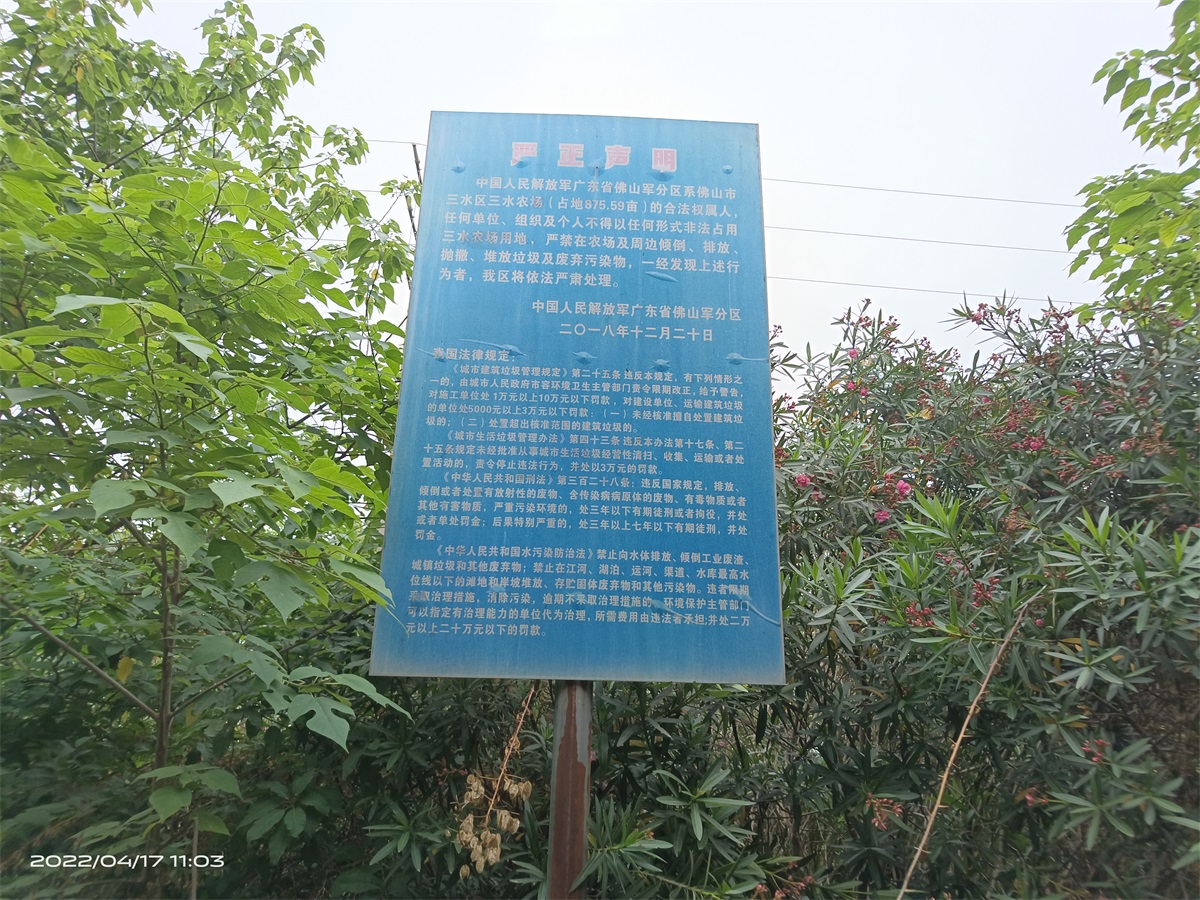 军牌.jpg