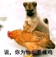 QQ图片20220921105444.jpg