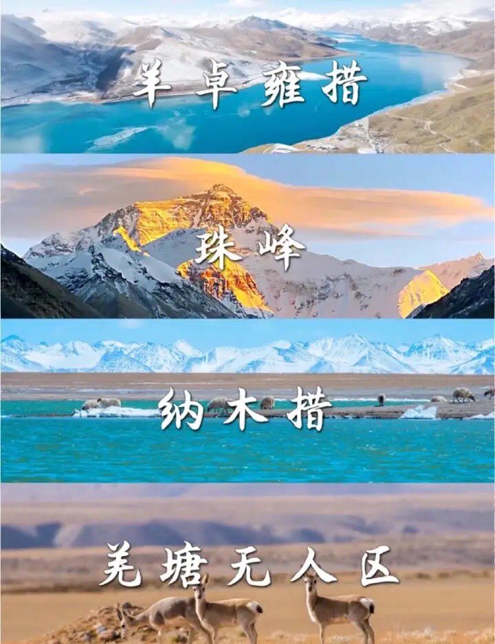 20230115141655front1_0_228252_FiMN574gs12PKs50zloa_f_Qbj6q.jpg