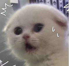57e02c4b51d7240966ea81e539b82f65.png