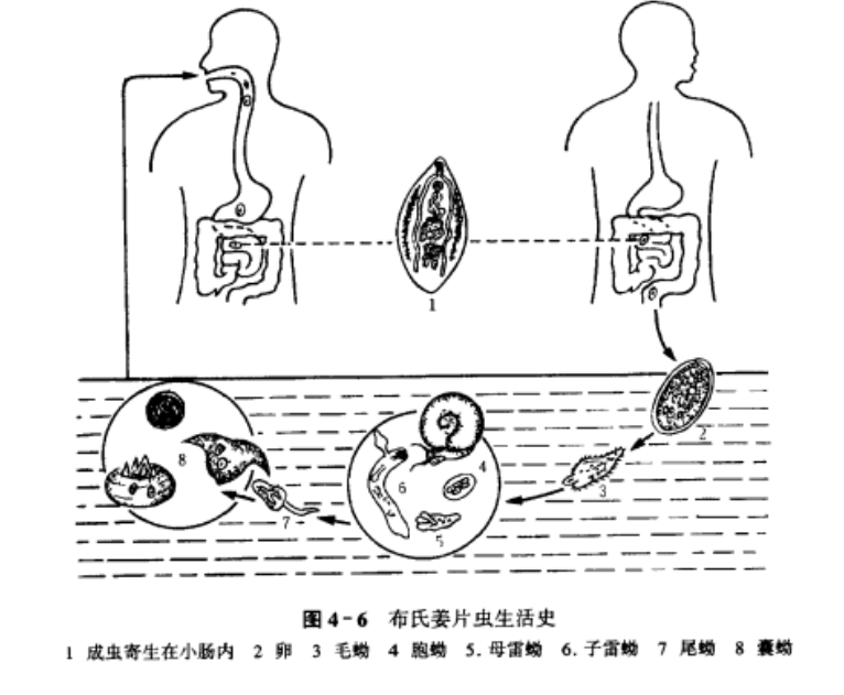 ad36b1e1112dbbf1cf3648db0749012d.png