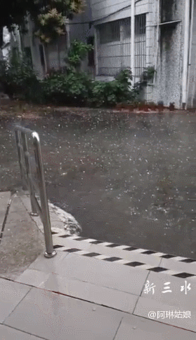 GIF 2023-3-24 9-55-47.gif