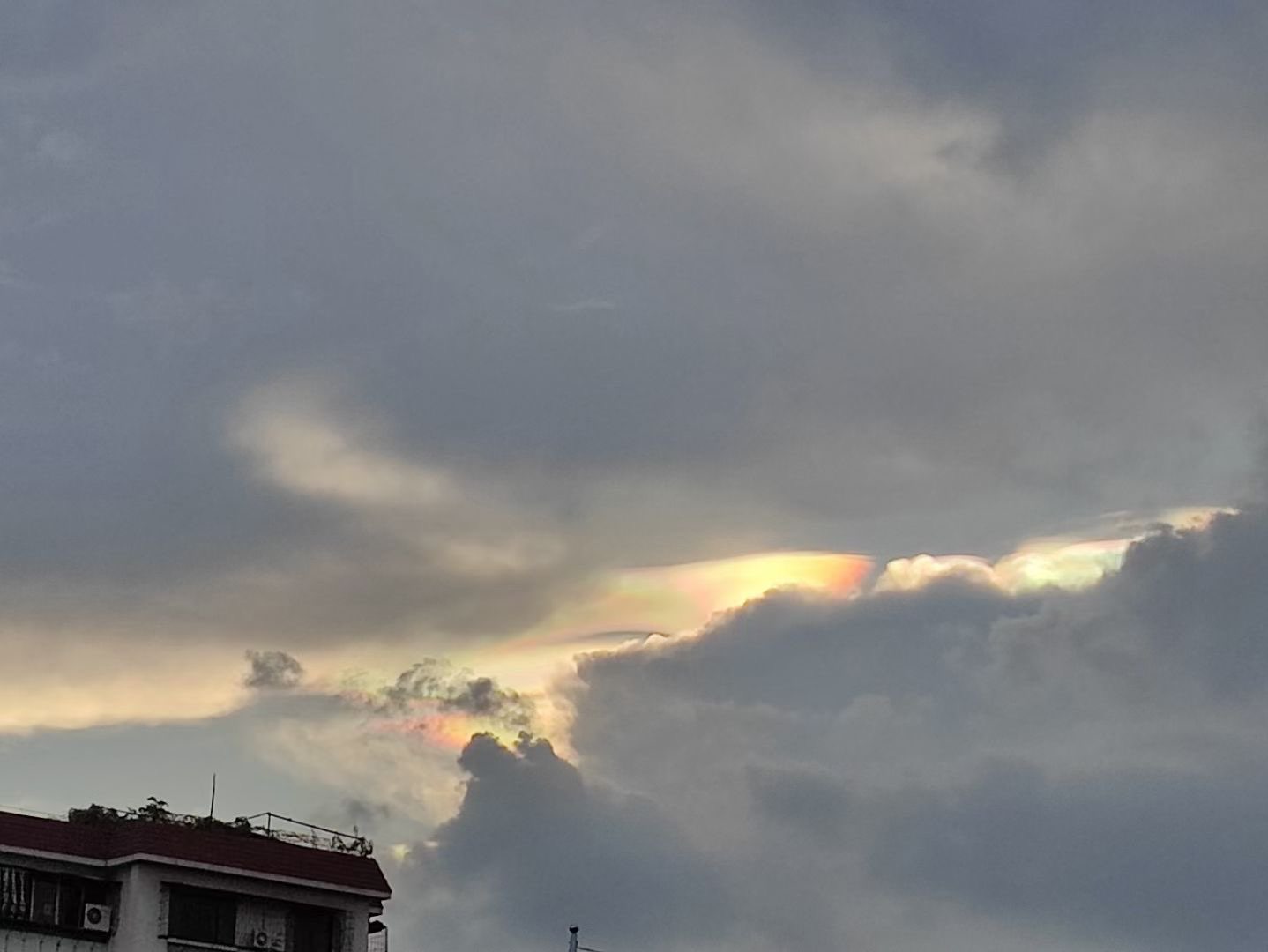 20230720185357front1_0_177415_Fs6-gkYhVnEI6XoiStCFsGQs7SaM.jpg