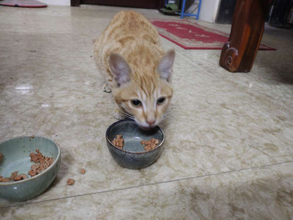 20240117191357front2_0_187941_Fh6gjrLRIdVi0uqZ6d0kEvsqE5qG.jpg