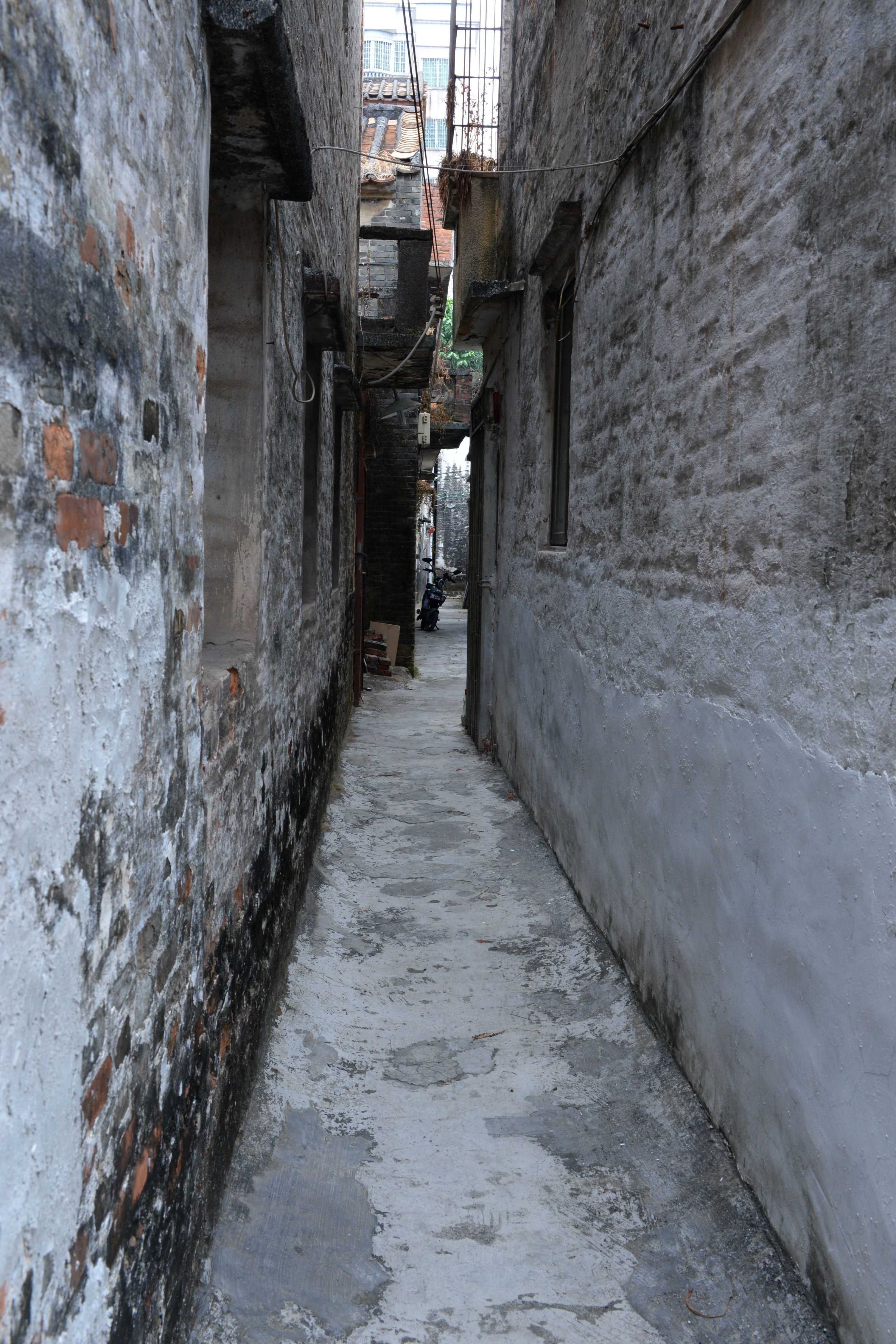 DSC_7519.jpg