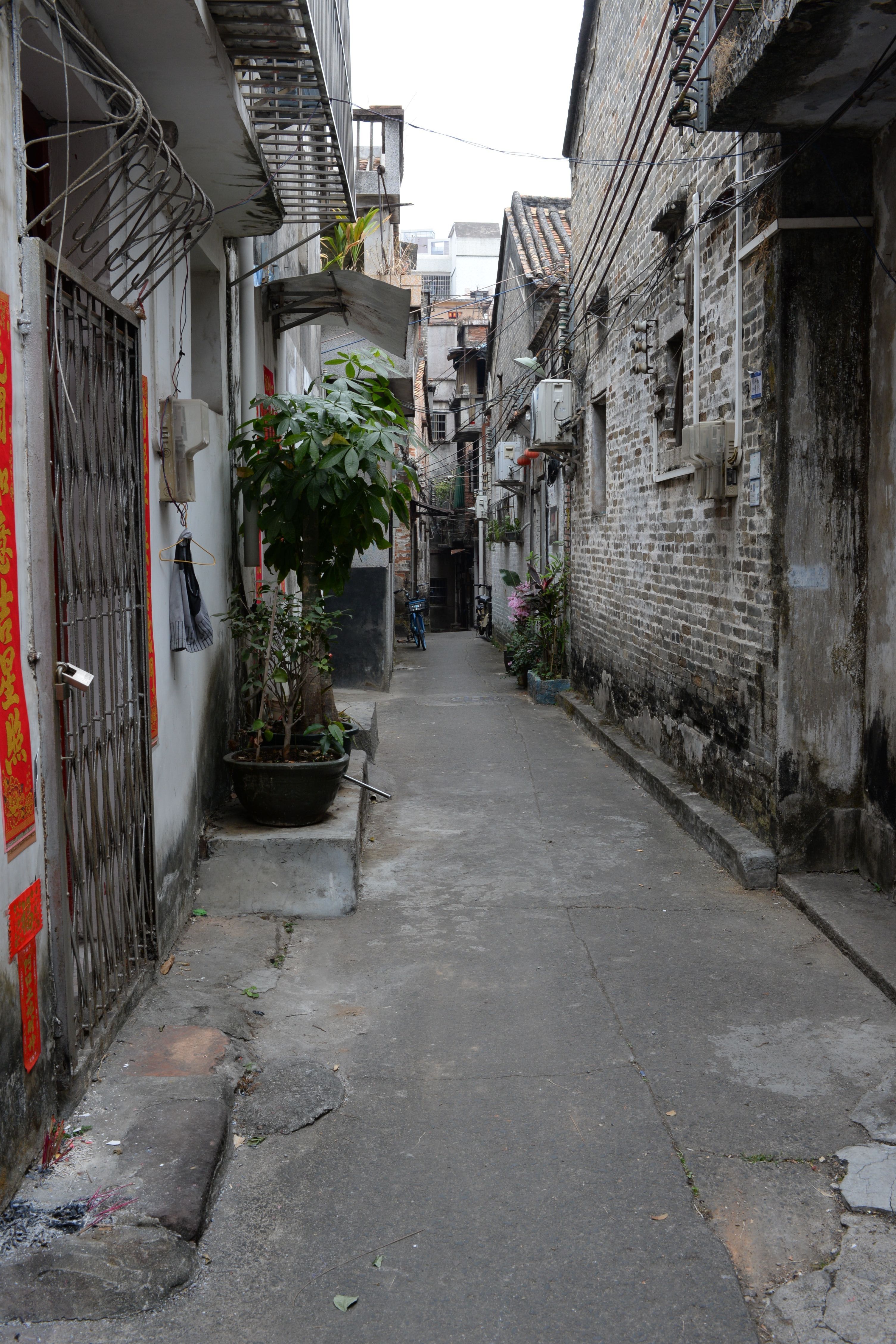 DSC_7581.jpg