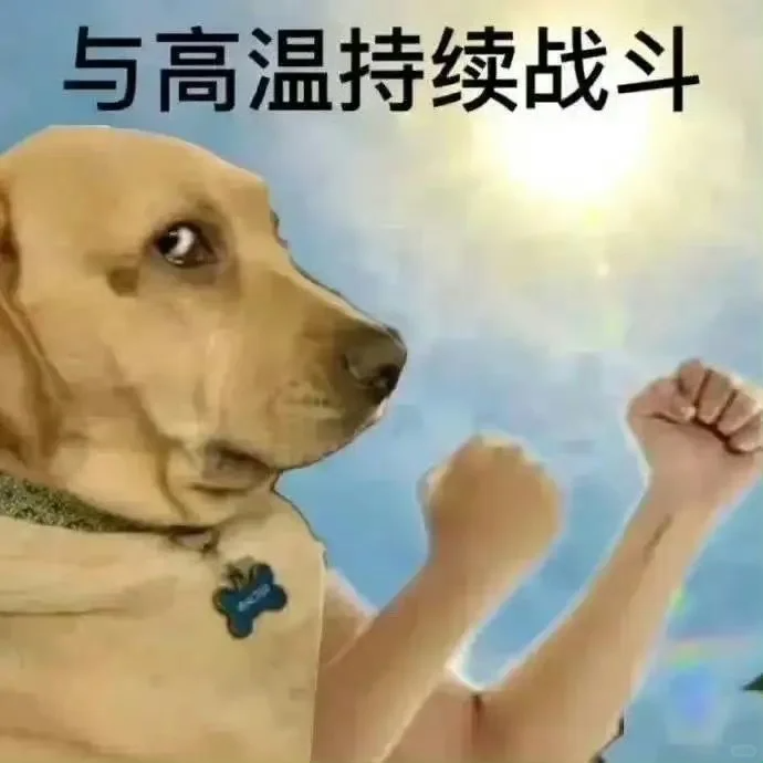 770080061ba3f66843f32060bc10c4a4.png