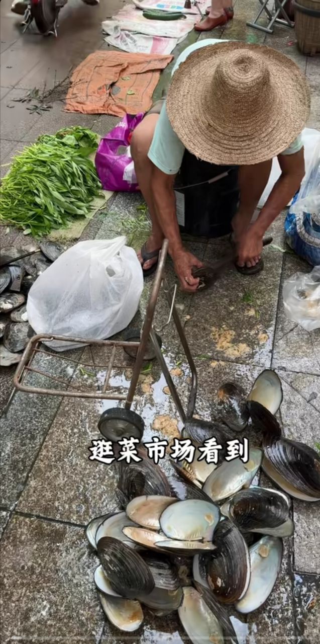 20250722223747front2_0_20735_Fmy0qQ8MfdQP02y8hqcyICXtUUgC.jpg