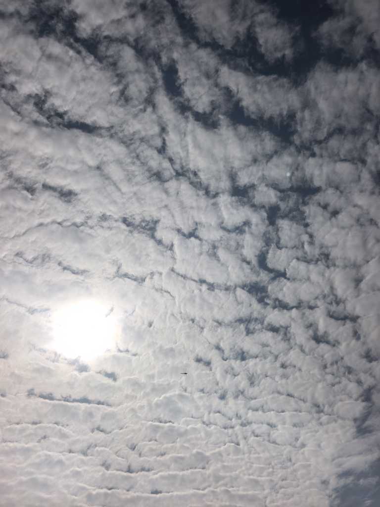 20251027135917front2_0_167680_FoucV-PgznUCI_47i9nm_bXHHMDX.jpg
