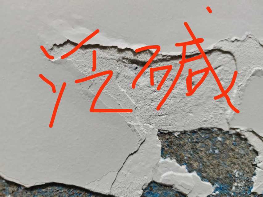 20251116211849front2_0_236188_FnEaz1jElSaRLWSTzqDCEHO7i7_w.jpg
