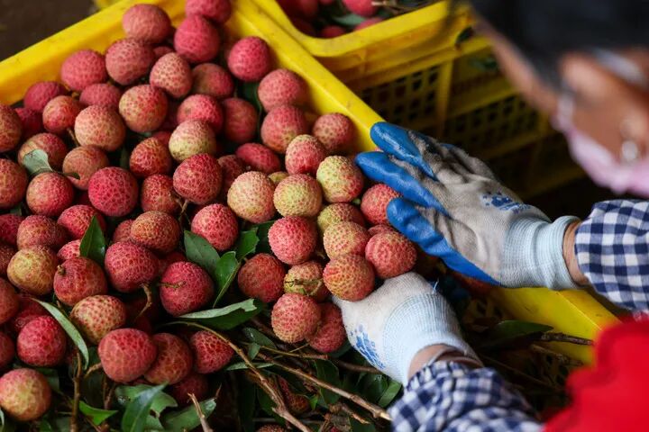 89094708f6df887de46acb699a6c0568.jpg