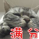 ea757263d3ddfe550ed7d14dde0688ea.png