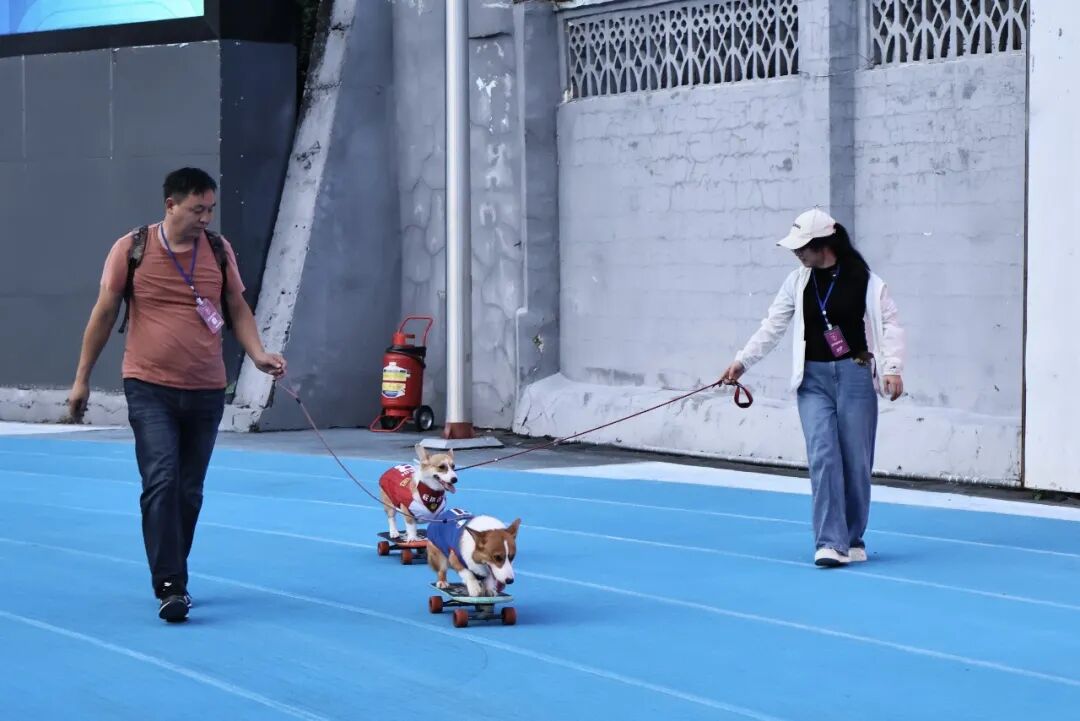 微信图片_2026-07-29_085220_000.jpg