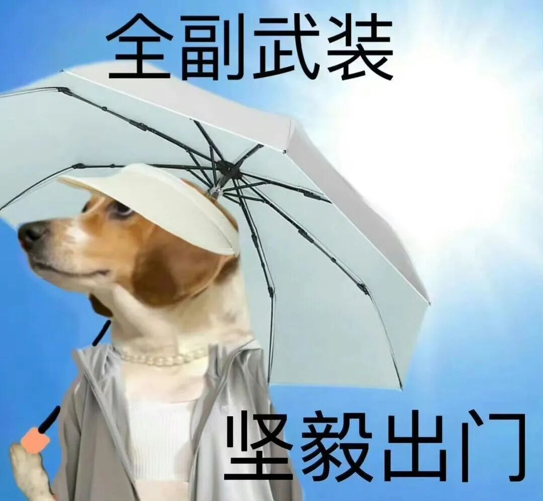 b37b084262290dd9a68029fe86c0cf7e.jpg